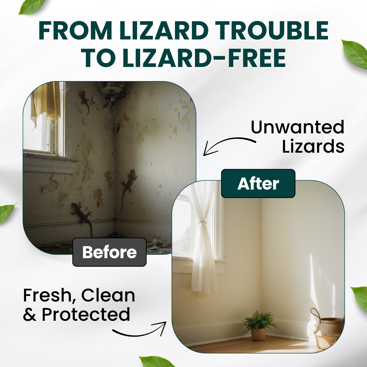 Nrich Herbal Lizard Repellent Spray for Home | Natural Anti Lizard Spray Repellent | Safe Pest Control Spray | Long Lasting Herbal Solution to Keep Away Lizards Indoors & Outdoors