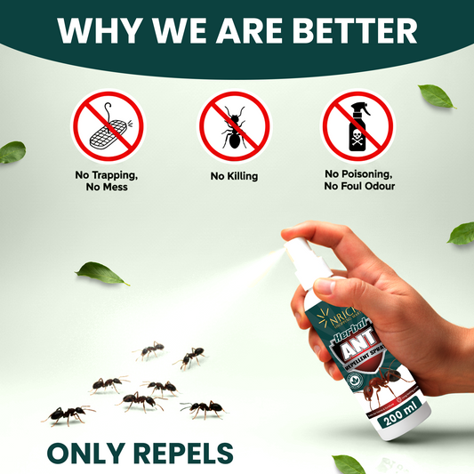 Nrich Herbal Ant Repellent Spray | Safe Ant Spray for Home & Kitchen | Long Lasting Ant Repellent for Indoor & Outdoor Use